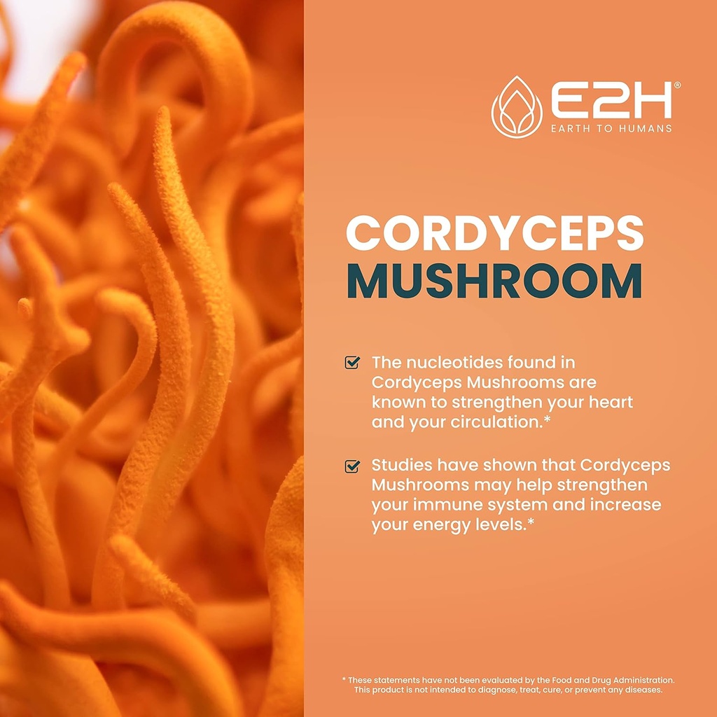 e2h-reishi-cordyceps-extracts---energy-l-2.jpg
