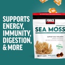 force-factor-sea-moss-soft-chews-support-5.jpg