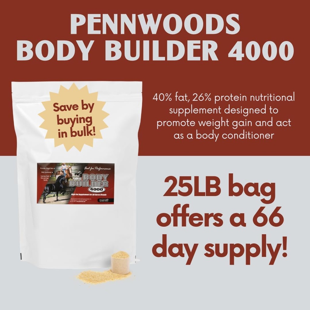 pennwoods-body-builder-4000-horse-weight-2.jpg