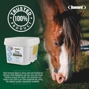 ramard-total-immune-blast---equine-immun-6.jpg