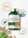 carlyle-mucuna-with-ashwagandha-3000mg-2-6.jpg