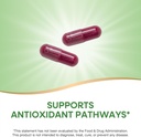 natures-way-beet-root-capsules-supports--3.jpg