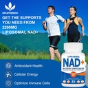 2200mg-liposomal-nad-supplement---enhanc-5.jpg