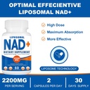 2200mg-liposomal-nad-supplement---enhanc-6.jpg