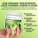 dr-bergs-raw-wheatgrass-juice-powder-60--6.jpg