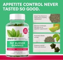 zenwise-health-fat-burner-gummies---appe-3.jpg