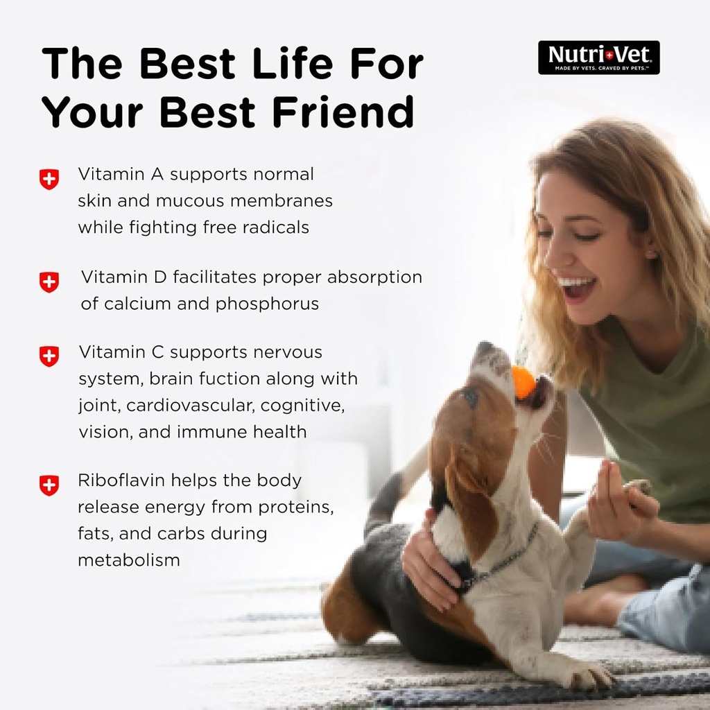 nutri-vet-multi-vite-chewables-for-adult-5.jpg