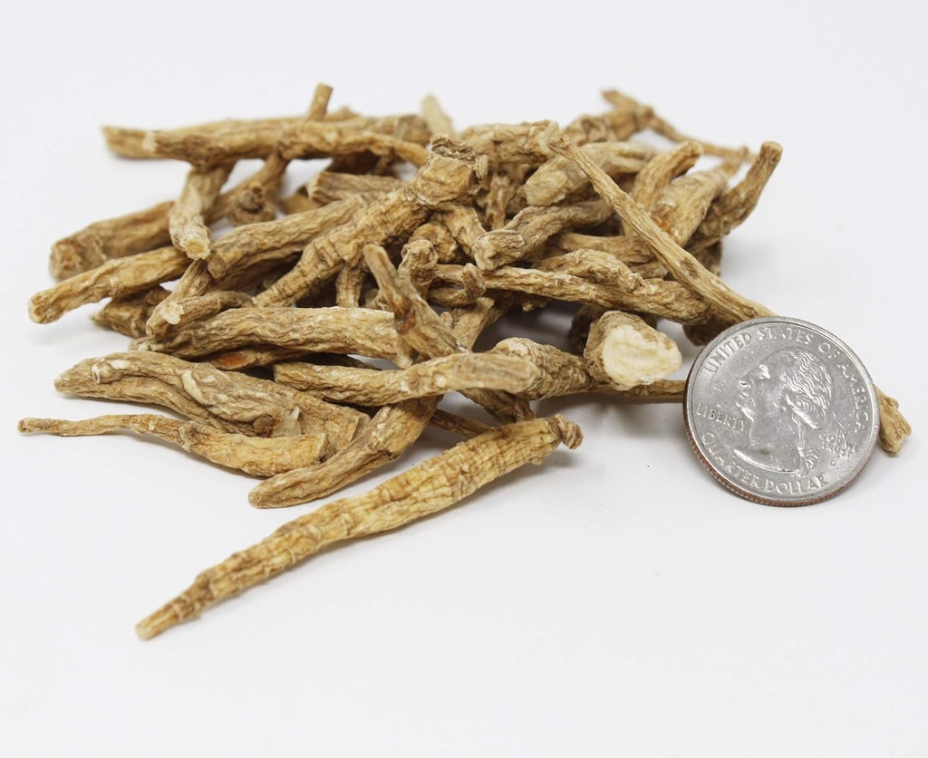 american-ginseng-from-wisconsin-american-3.jpg