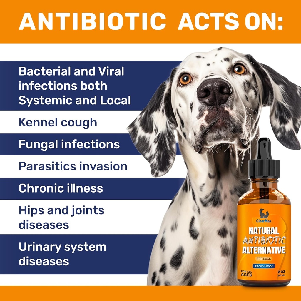 dog-antibiotics-for-infections-allergies-2.jpg