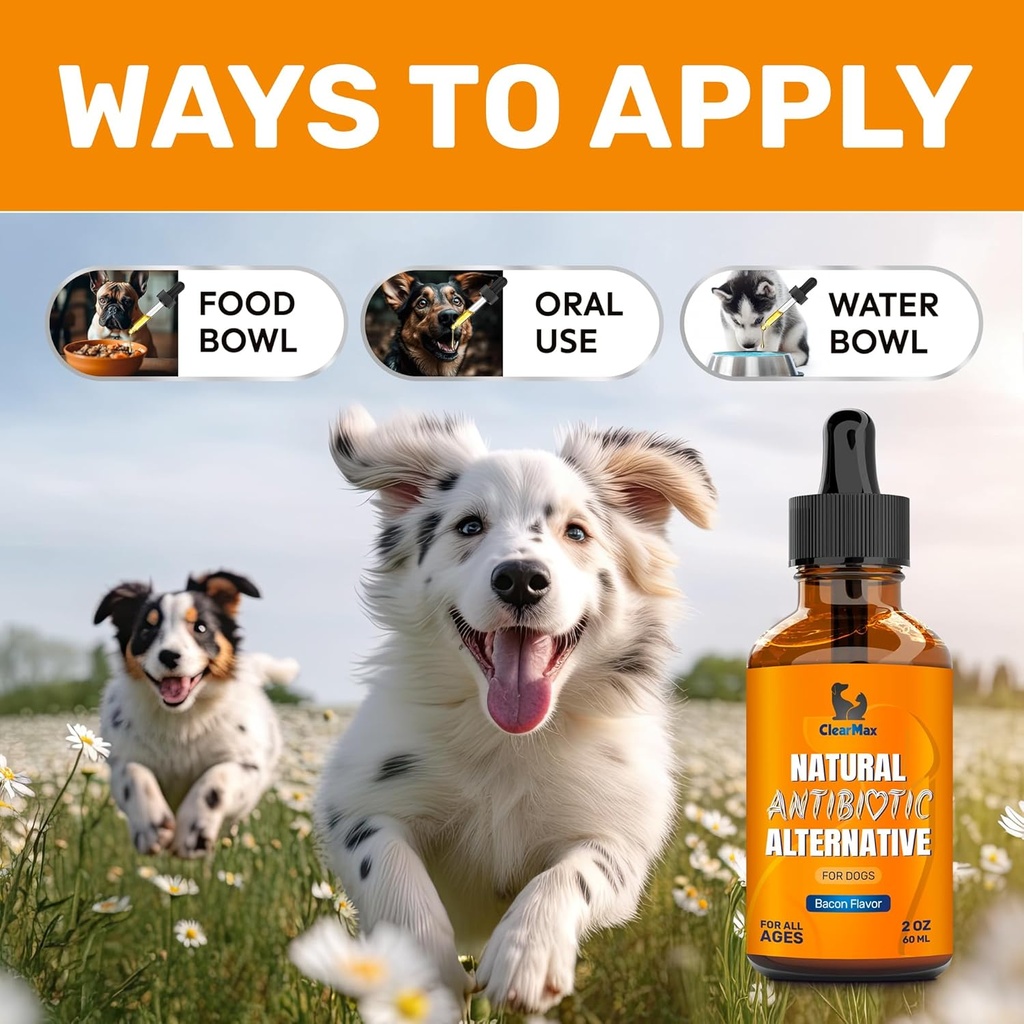 dog-antibiotics-for-infections-allergies-5.jpg