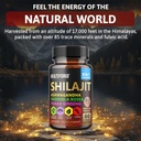 shilajit-capsules-organic-extract-blend--5.jpg