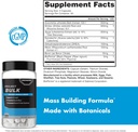anabolic-warfare-project-bulk-mass-build-5.jpg