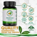 propolis-health-premium-brazilian-green--2.jpg