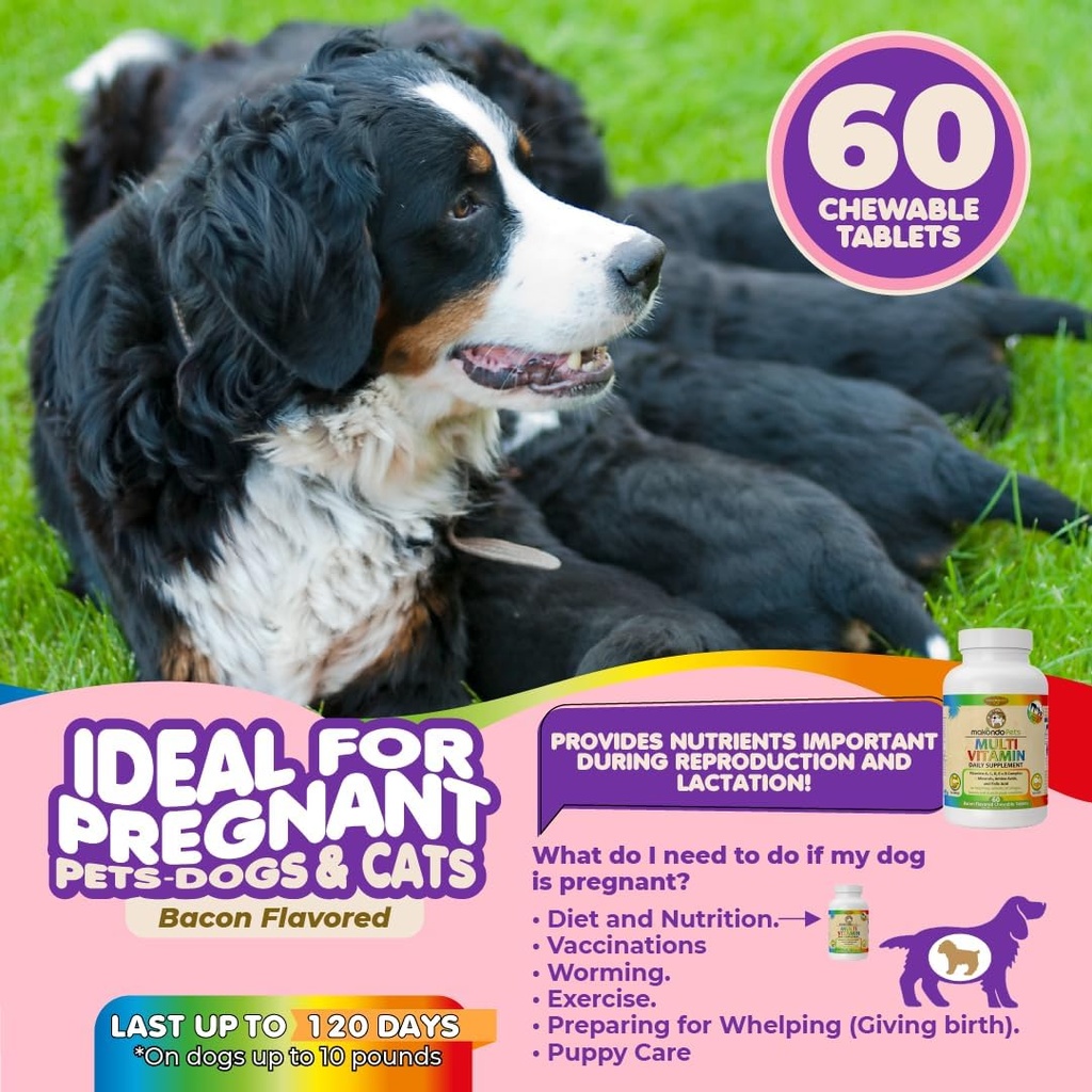 dog-prenatal-vitamins-multivitamin-folic-3.jpg