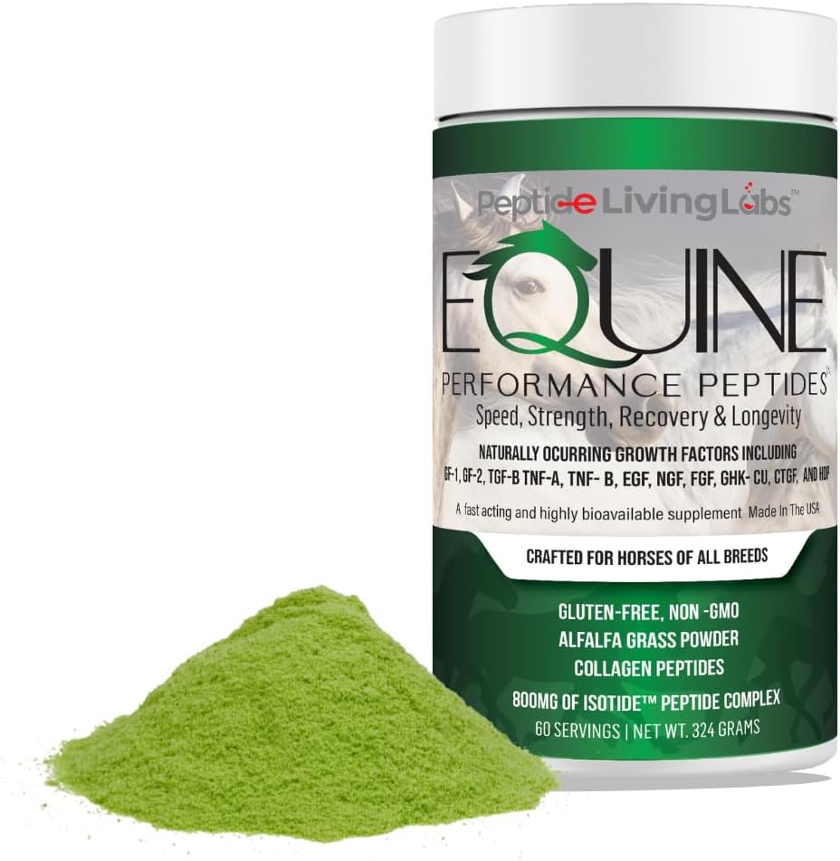 equine-performance-peptides-horse-peptid-2.jpg
