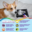 dog-prenatal-vitamins-multivitamin-folic-4.jpg