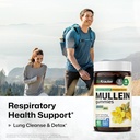 bio-krauter-mullein-60-gummies-lung-supp-2.jpg