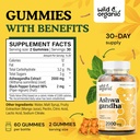wild-organic-ashwagandha-gummies-2000mg--3.jpg