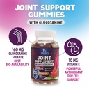 joint-support-gummies-glucosamine-plus-v-3.jpg