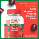 smartypants-kids-fiber-veggies-prebiotic-2.jpg