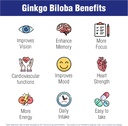 ginkgo-biloba-60-mg-by-natural-systems-6-5.jpg
