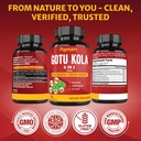 organic-gotu-kola-extract-capsules-with--6.jpg