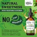 wild-organic-goldenseal-tincture-2-fl-oz-5.jpg