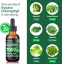 4-pack-4-in-1-vegan-chlorophyll-liquid-d-3.jpg