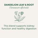 traditional-medicinals-tea-organic-dande-3.jpg