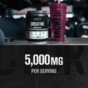 jacked-factory-creatine-monohydrate-powd-4.jpg