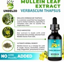 undelios-herbal-mullein-leaf-extract---o-4.jpg