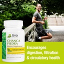 jiva-botanicals-chanca-piedra-supplement-3.jpg