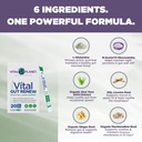 vital-planet---vital-gut-renew-powder-su-4.jpg