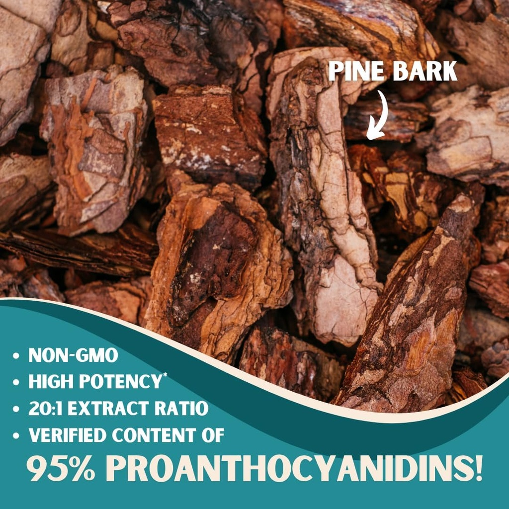 french-maritime-pine-bark-extract-7000mg-3.jpg