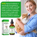 cat-antibiotics-antibiotics-for-cats-nat-6.jpg