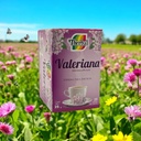 valerian-root-tea-25-bags-1-g-each-te-de-4.jpg