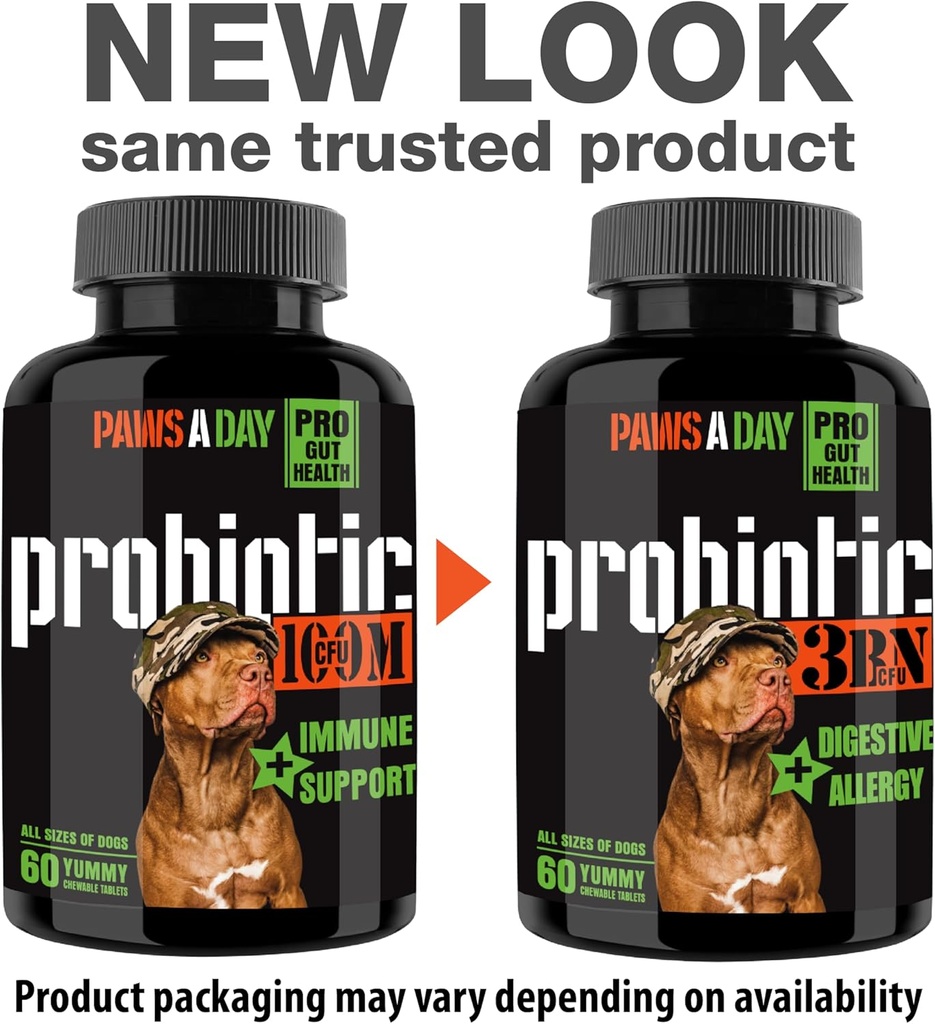 army-soldier-owned-dog-probiotics-for-ye-2.jpg