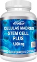 Celulas Madres 60 Capsules Vitamisan 1000 mg Aphanizomenon Flos-aquae Blue Green Algae AFA Stem Natural Cell 2
