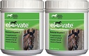 Kentucky Performance Products 2 Pack of Elevate Maintenance Power, 2 Pounds Each, Natural Vitamin E Horse Supplement 2