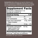 Nature's Way Chlorofresh Liquid Chlorophyll Internal Deodorant 16 Fluid Ounces, Mint Flavor, Pack of 2 5