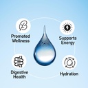 Liquid Mineral Drops - Trace Mineral Supplement | Full Spectrum Minerals | Ionic Liquid Magnesium, Chloride, Potassium | Low Sodium | Energy, Electrolytes | 288 Day Supply, 8 fl oz (Pack of 3) 4