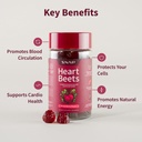 Snap Supplements Heart Beets Organic Beet Root Gummies, Cardiovascular Support Supplement for Men & Women, Pomegranate, Red Spinach, Heart Health & Circulation Support, Sugar Free, Cherry, 60 Gummies 4