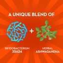 Align Probiotic, Digestive De-Stress, Probiotic for Women and Men with Ashwagandha, Helps with a Healthy Response to Stress, Gluten Free, Soy Free, Vegetarian, 50 Gummies (Pack of 2) 3