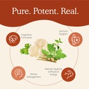 Real Mushrooms RealClarity (60ct) and Lions Mane (120ct) Capsules Bundle - Mushroom Supplement for Brain Health, Mental Clarity, Focus, Cognition & Immune Support - Brain Vitamins w/Ashwagandha 5