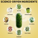 Balanced Vibe Brain Formula | Organic Plant-Based Nootropic for Focus, Clarity & Memory | Organic Lion’s Mane, Ginkgo, Bacopa, Rhodiola, Gotu Kola | Vegan Capsules | 30 Day Supply 4