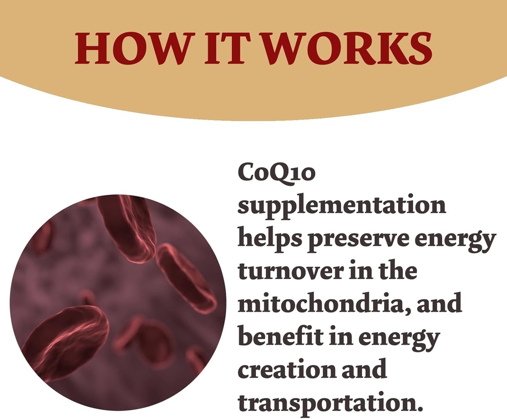 CoQ10 300mg - 120 Capsules - High Absorption - Non-GMO - Gluten-Free - Coenzyme Q10 - CoQ10 Capsules 5