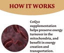 CoQ10 300mg - 120 Capsules - High Absorption - Non-GMO - Gluten-Free - Coenzyme Q10 - CoQ10 Capsules 5