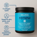 WellPath Renew Multi Collagen Protein Powder for Women | Hair, Nails, Skin | Hydrolyzed Grass-Fed Bovine, Marine, & Chicken Sources Collagen Peptides | Types I, II, III, V, X | 11 oz | 40 Servings 6