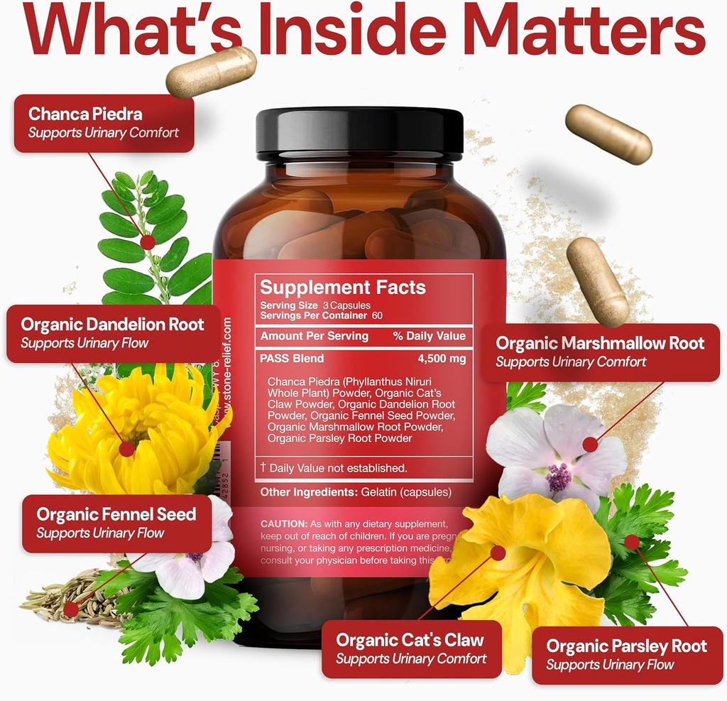 STONE RELIEF Pass AM – Daytime Herbal Kidney Support for Relief, Comfort, & Increased Flow (180 Capsules + Stone Catcher + Printed Guidebook) 6