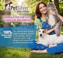 PetSilver Immune Support - Promotes Respiratory Health in Cats & Dogs, Sinus & Kennel Cough Treatment, Natural Antibiotic, Allergy Relief, Chelated Silver Formula, Easy-to-Use Dropper, USA - 2 fl oz 6
